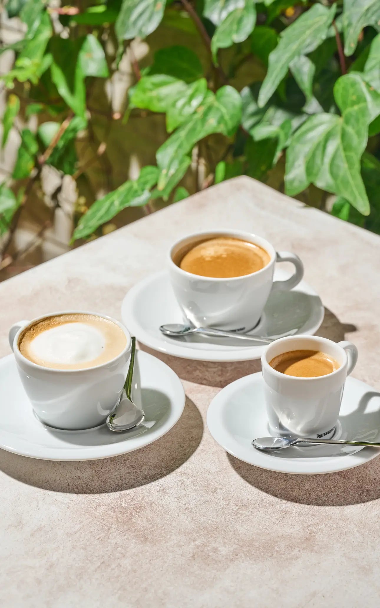 Cafe & Digestivos